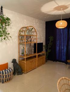 a living room with a dog sitting next to a shelf at Fat Cow Apartment 102 in Livadhia +38 photos