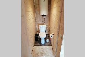 a small bathroom with a toilet in a stall at Charming Sauna Cottage in a Horse Ranch in Lieplaukė