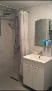 W łazience znajduje się prysznic, umywalka i lustro. w obiekcie Una Rosa Hostel w mieście Bihać