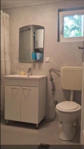 La salle de bains est pourvue de toilettes, d'un lavabo et d'un miroir. dans l'établissement Una Rosa Hostel, à Bihać