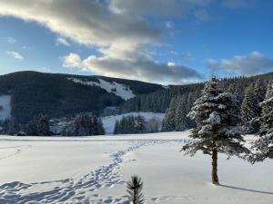Příroda nedaleko hotelu