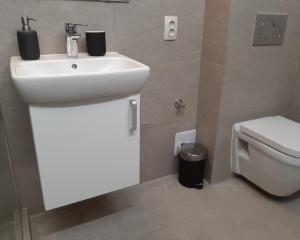 a bathroom with a white sink and a toilet at SAUNA Dom in Pezinok +20 photos