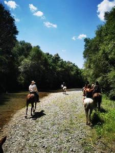 Zvieratá v horskej chate alebo blízkom okolí