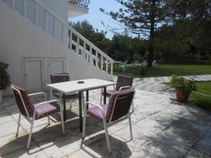 A garden outside Akropolis studios