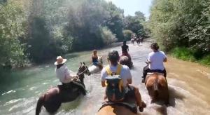 Hostia v ubytovaní Kedra Village
