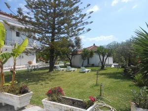 A garden outside Akropolis studios