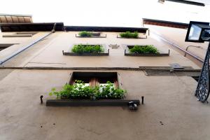 A garden outside Casa Uffizi XIII Century Tower House Boutique Hotel