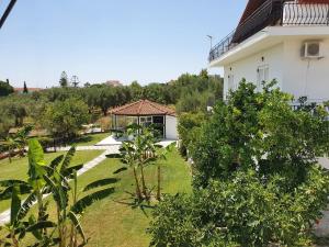 A garden outside Akropolis studios
