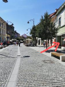 a red arrow pointing down a cobblestone street at Smart studio sibiu in Sibiu +11 photos
