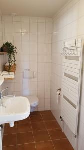een witte badkamer met een wastafel en een toilet bij Beachloft Zeeland 1 in Scharendijke