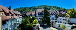 a small town with houses and trees at Stadthotel Freiburg Kolping Hotels & Resorts in Freiburg im Breisgau