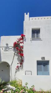 un edificio blanco con una planta con flores rojas. en Teoria Paros - Matsas Windmill, en Naousa