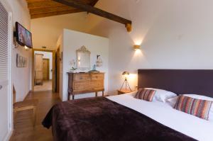 Billede fra billedgalleriet på Casa da Torre i Minas de São Domingos + 47 billeder