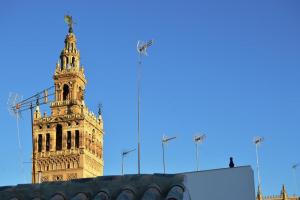 Fotografia z galérie ubytovania Stunning attic with private terrace and Parking optional v destinácii Seville