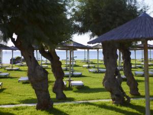 een groep stoelen en parasols in een park bij Apollo Beach in Faliraki