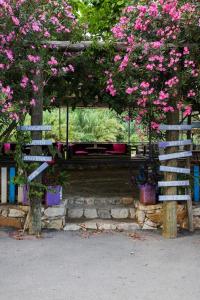 阿德拉桑Duran Bungalow的相册照片