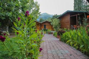 Gallery image of Duran Bungalow in Adrasan