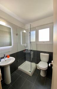 a bathroom with a shower and a toilet and a sink at Fat Cow Apartment 102 in Livadhia