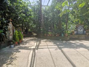 un jardín con muchas plantas y árboles en Agriturismo Il Giardino di Vigliano en Massa Lubrense