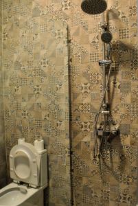 y baño con ducha, aseo y lavamanos. en Hostel PanGeea en Sibiu