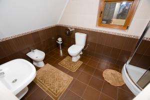 a bathroom with a toilet and a sink and a shower at Брусний View House in Sheshory