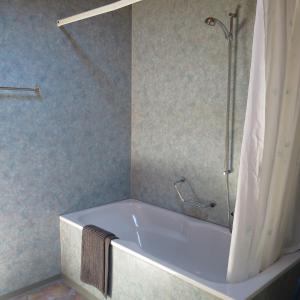 a bath tub in a bathroom with a shower at Ferienwohnung Lindenheim in Kandersteg