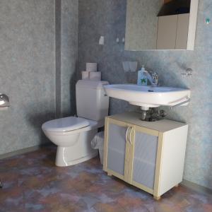uma casa de banho com um WC e um lavatório em Ferienwohnung Lindenheim em Kandersteg