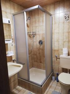 een badkamer met een douche, een toilet en een wastafel bij Ferienwohnungen Panoramablick in Sankt Ulrich am Pillersee