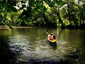 Billede fra billedgalleriet på Casa da Eira i Lousã