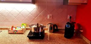 a kitchen counter with a pot and a toaster on a stove at Charme de Monsaraz in Monsaraz