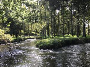 einen Bach in einem Park mit Bäumen und einer Brücke in der Unterkunft C’est La Vie in Balgowan + 4 Fotos