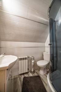 Kúpeľňa v ubytovaní Apartament Stary Mlyn