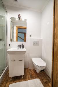 Kúpeľňa v ubytovaní Apartament Stary Mlyn