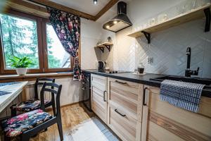 Kuchyňa alebo kuchynka v ubytovaní Apartament Stary Mlyn