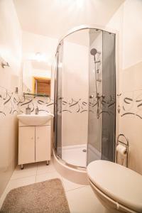 Kúpeľňa v ubytovaní Apartament Stary Mlyn