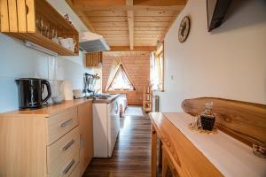 Kuchyňa alebo kuchynka v ubytovaní Apartament Stary Mlyn