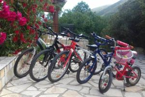 Cykling ved Yria Suite Zakynthos eller i nærheden