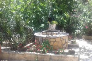 Zahrada ubytování Yria Suite Zakynthos