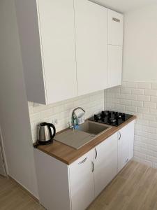Kuchyňa alebo kuchynka v ubytovaní Stara Piekarnia - Apartament Dworcowa