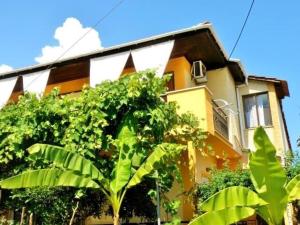 a yellow and white house with a tree in front of it at Barbara Studios in Skala Potamias +22 photos