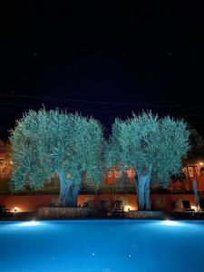 twee bomen verlicht 's nachts met blauwe lichten bij Hotel Resort Poggio degli Ulivi in Rodi Garganico