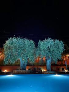 two trees lit up at night with blue lights at Hotel Resort Poggio degli Ulivi in Rodi Garganico