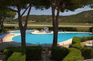 a large swimming pool with trees in the foreground at Aviotel Residence in Marina di Campo