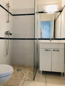 uma casa de banho com uma cabina de duche em vidro e um WC. em Hotel Pelican em Schœlcher