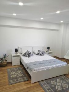 a bedroom with a bed with two pillows on it at Studio Claudia-self Check-in in Brăila