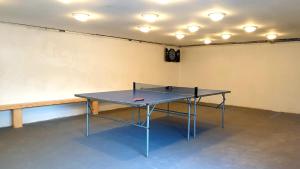 Tenis stołowy w obiekcie Aranyeső Apartmanházak No.1 lub pobliżu