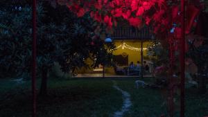 Κήπος έξω από το Karma Hostel