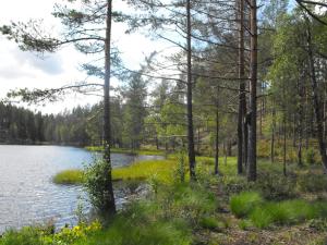 Gallery image of Cozy Lodge and tiny lodge 5 pers. in Filipstad