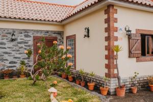Casa do Faial في سانتانا: أمامه بيت فيه نباتات الفخار