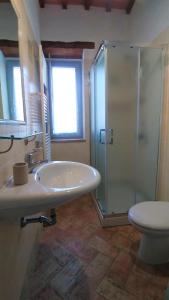 y baño con ducha, lavabo y aseo. en Podere Sant'Angelo, en Roccalbegna